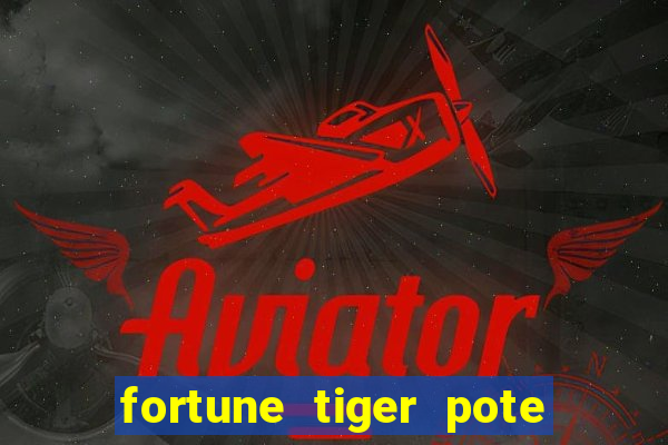 fortune tiger pote de ouro