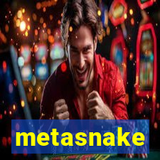 metasnake