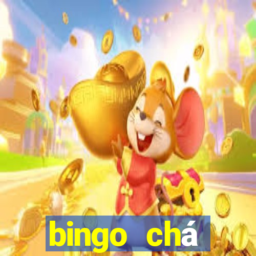 bingo chá revela??o pdf