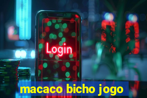 macaco bicho jogo