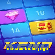 macaco bicho jogo