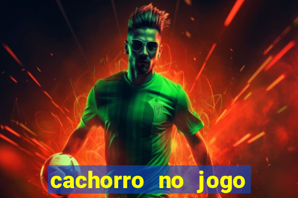 cachorro no jogo do bicho