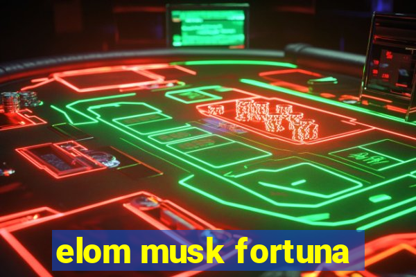 elom musk fortuna