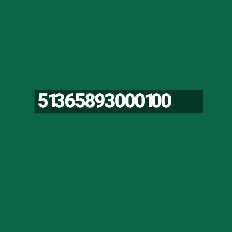 51365893000100