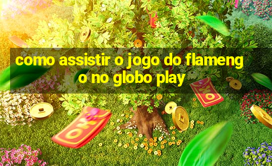 como assistir o jogo do flamengo no globo play