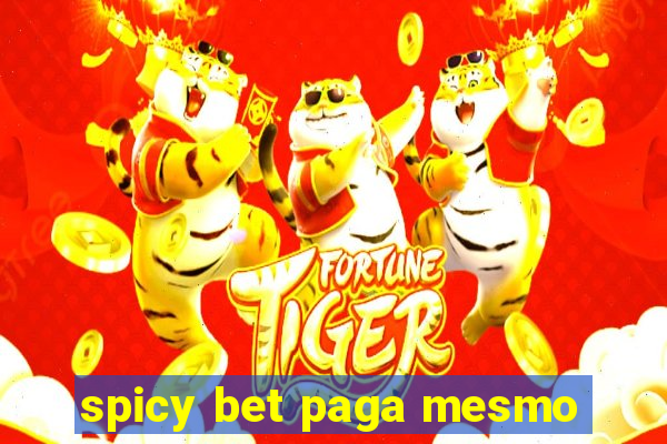 spicy bet paga mesmo