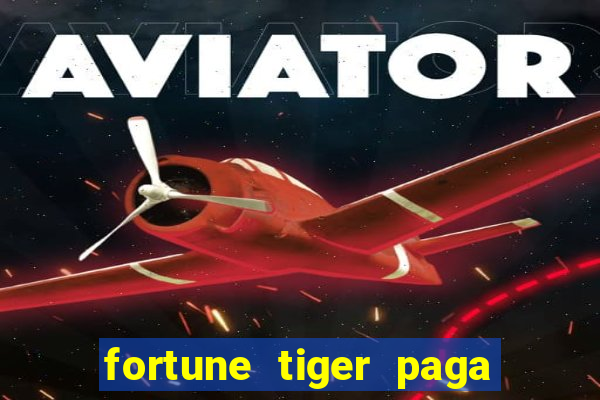 fortune tiger paga que horas