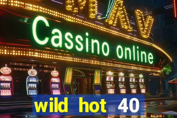 wild hot 40 christmas slot