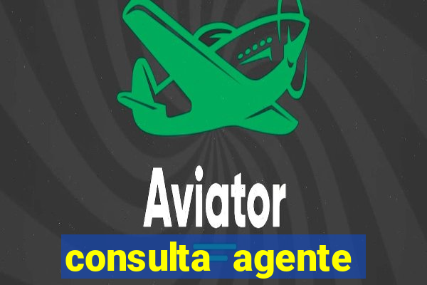 consulta agente autuador sp