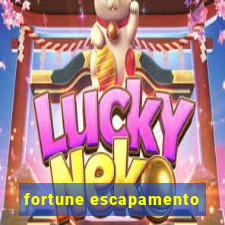 fortune escapamento