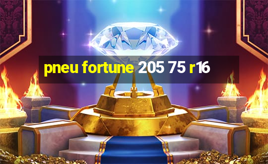 pneu fortune 205 75 r16