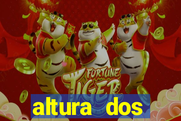 altura dos personagens de one piece