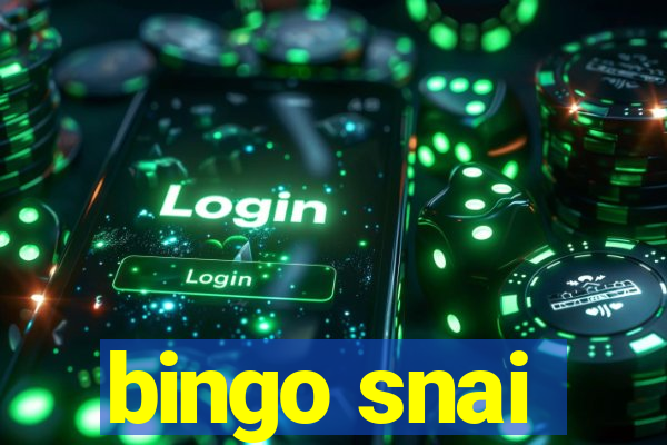 bingo snai