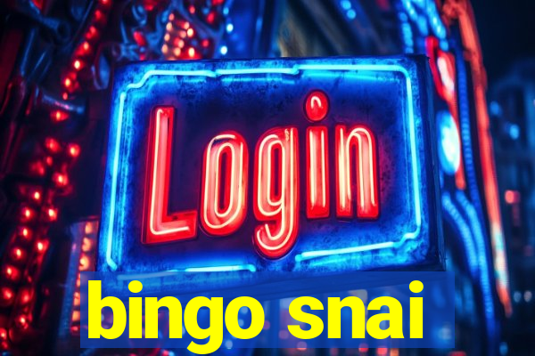 bingo snai