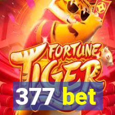 377 bet