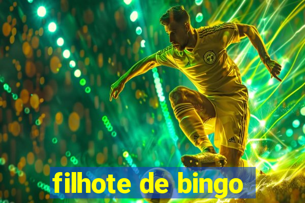 filhote de bingo