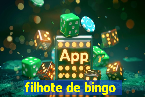 filhote de bingo