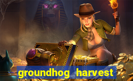 groundhog harvest pg slot