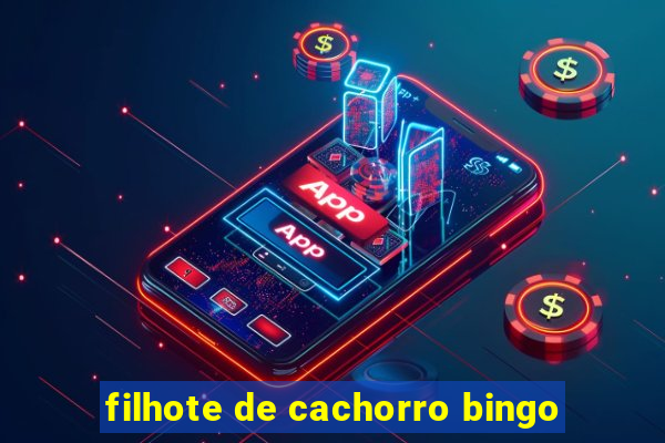 filhote de cachorro bingo