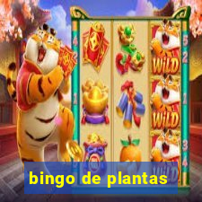 bingo de plantas