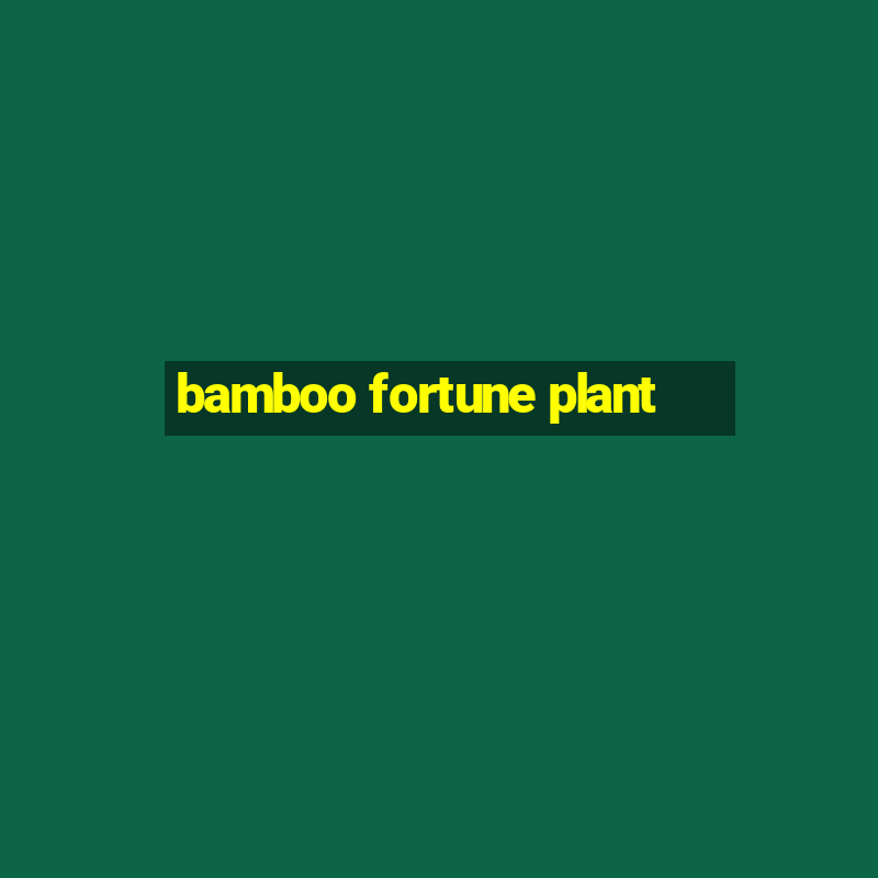 bamboo fortune plant