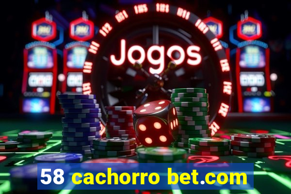 58 cachorro bet.com