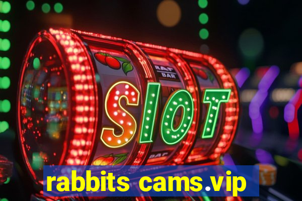 rabbits cams.vip