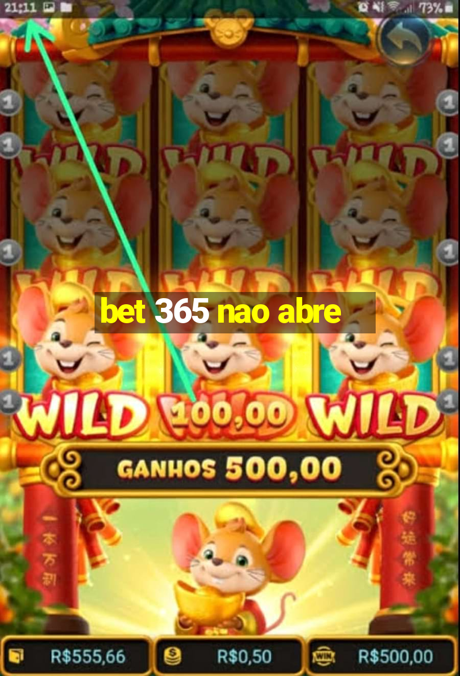 bet 365 nao abre