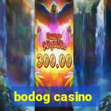 bodog casino