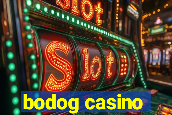 bodog casino