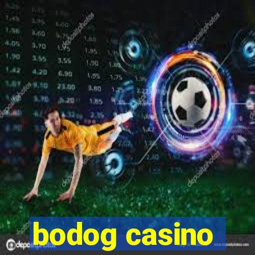 bodog casino