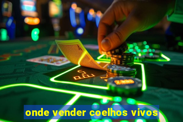 onde vender coelhos vivos