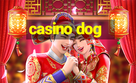 casino dog