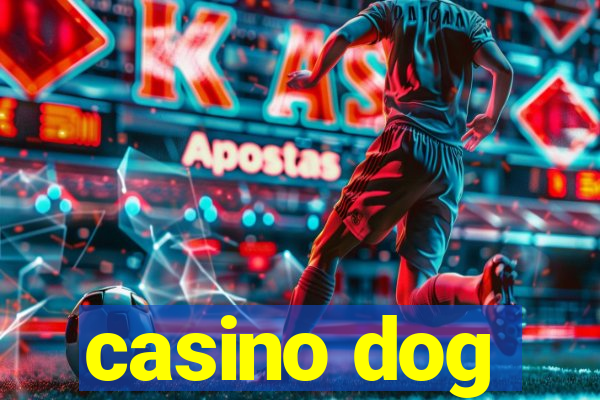 casino dog