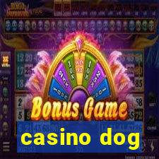 casino dog