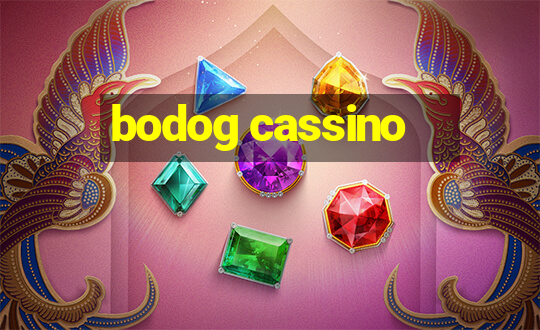 bodog cassino