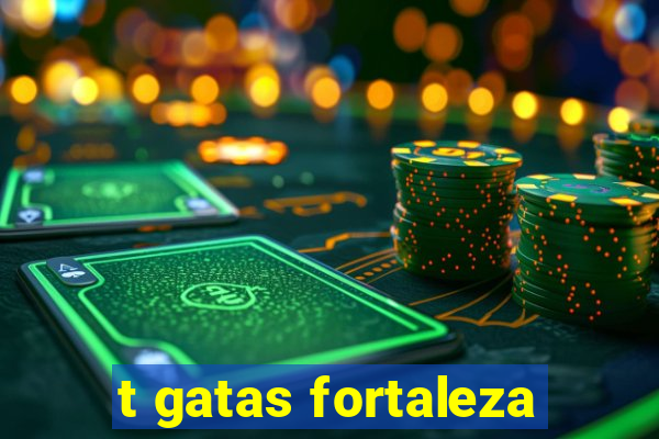 t gatas fortaleza