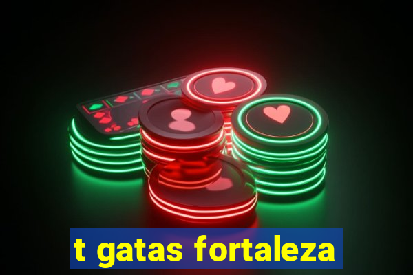 t gatas fortaleza