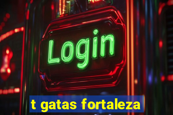 t gatas fortaleza