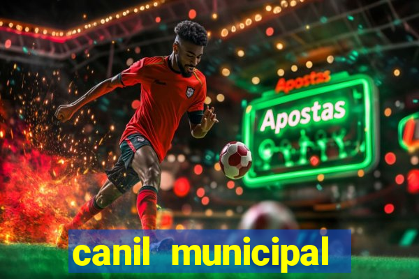 canil municipal porto alegre