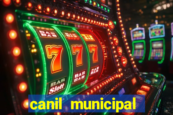 canil municipal porto alegre