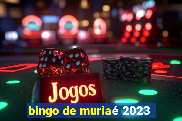 bingo de muriaé 2023