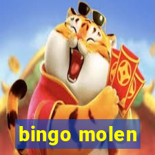 bingo molen