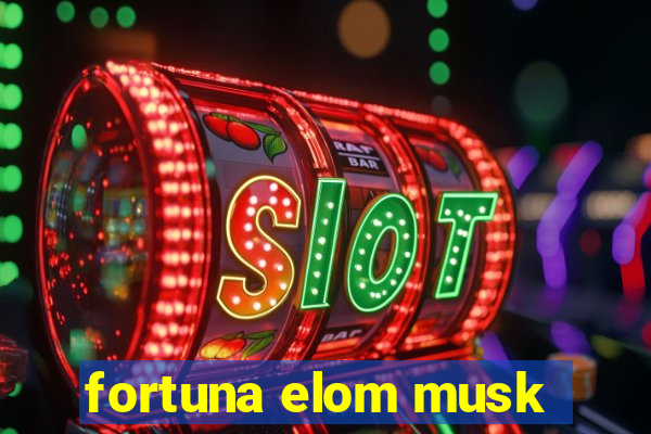 fortuna elom musk