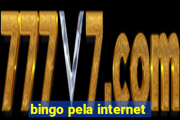 bingo pela internet