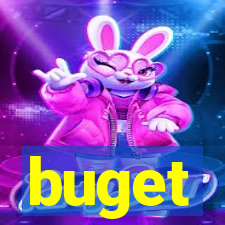 buget