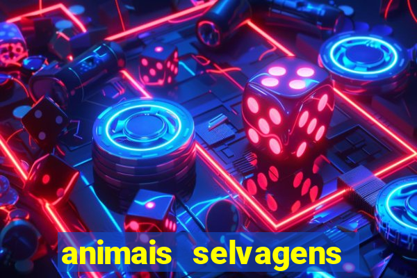 animais selvagens fotos e nomes