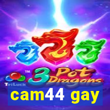 cam44 gay