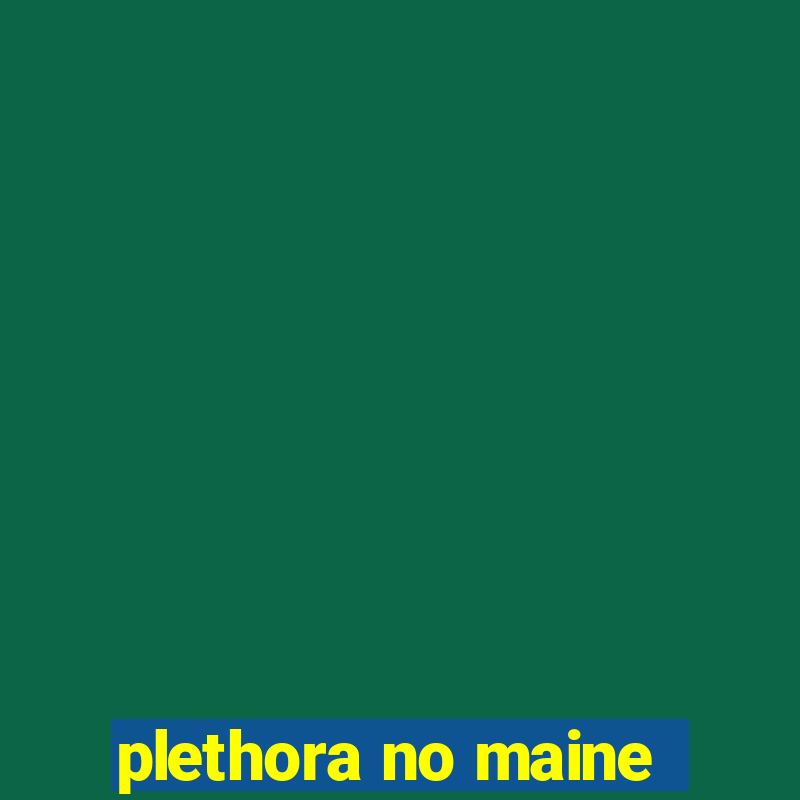 plethora no maine