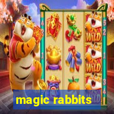 magic rabbits